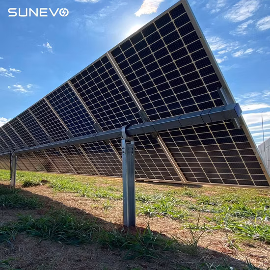 Sunevo Bifacial Double Glass Monocrystalline 535W 540W 545W 550W 555W Solar Module